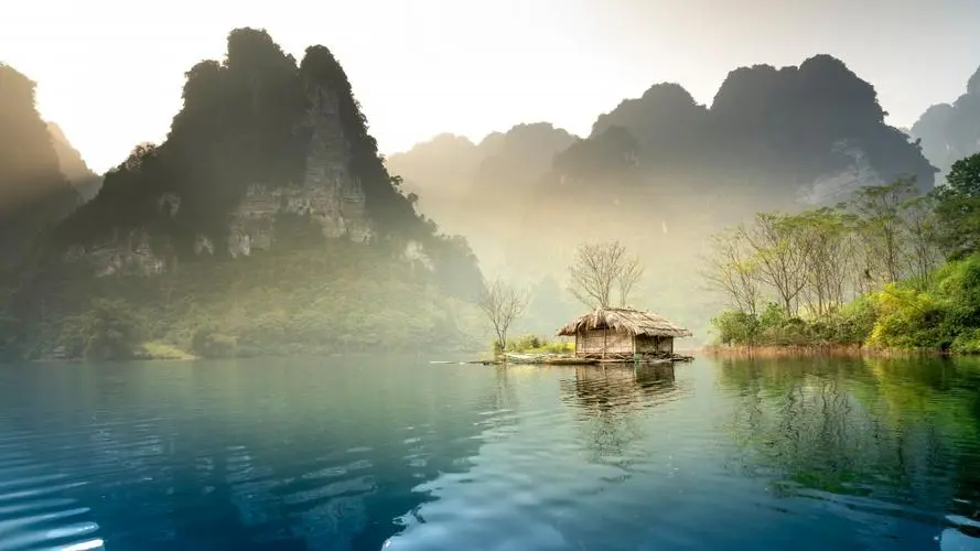 绿色绿色